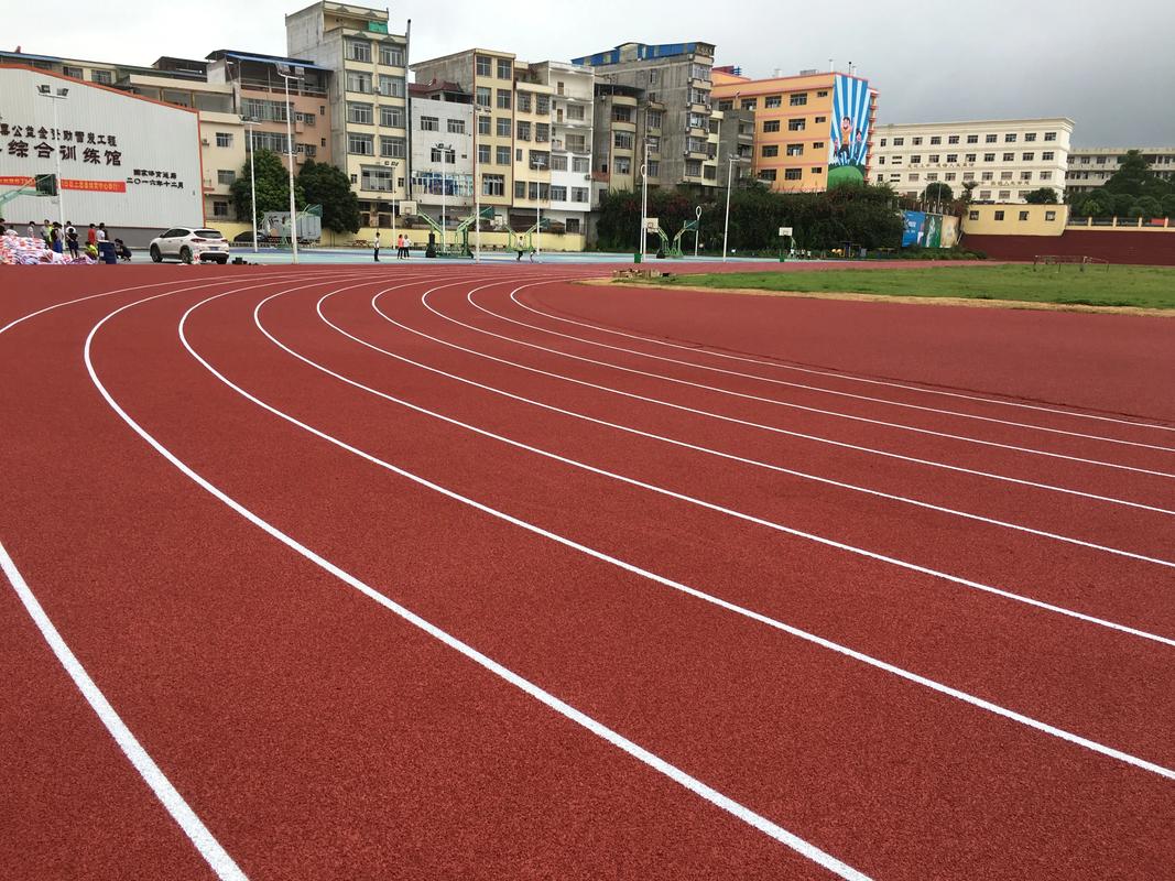 三亚市人造草坪塑胶跑道材料 - 厂家